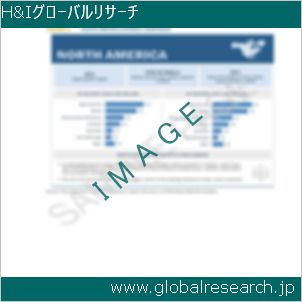 グローバルリサーチ調査レポートのイメージ